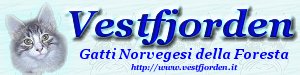 Vestfjorden