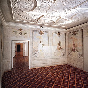 PALAZZO ATTEMS-PETZENSTEIN, interno