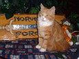 magnificat 2003