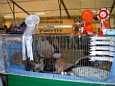 varago 2004